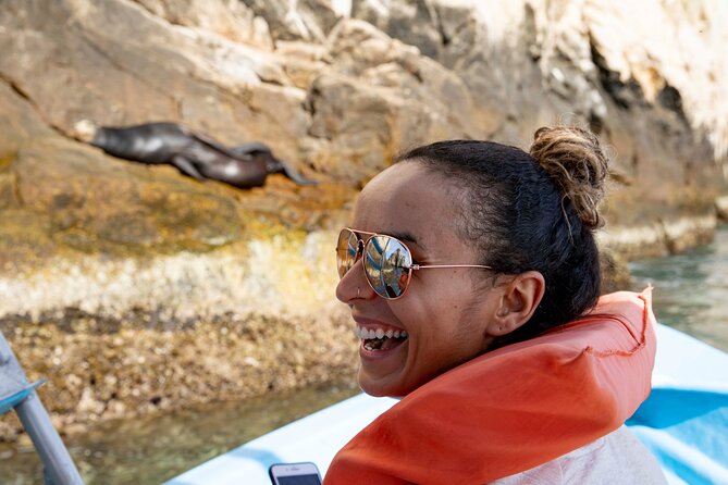 Whale Watching in Cabo San Lucas: Sightseeing Cruise and Shopping - Hotel Pickup and the 4-Hour Rhythm in Cabo