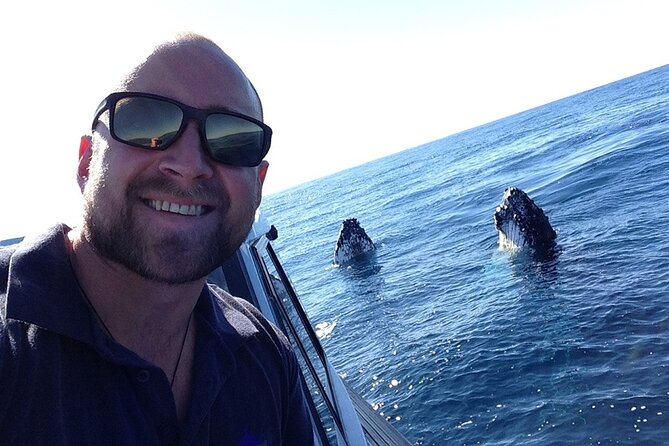 Whale Watching in Coffs Harbour - Price and value: $64.55 for focused whale time