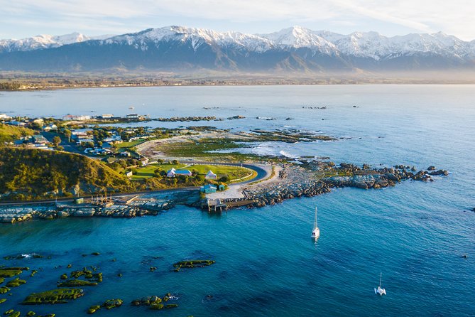 Whale Watching in Kaikoura by Boat - Who This Tour Fits Best (and Who Should Rethink It)