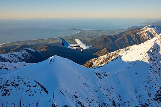 Whale Watching in Kaikoura - Ultimate Experience - Key things to know before you go