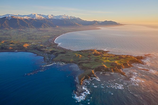 Whale Watching in Kaikoura - Ultimate Experience - Getting to the airfield: transfers from town and what the start feels like