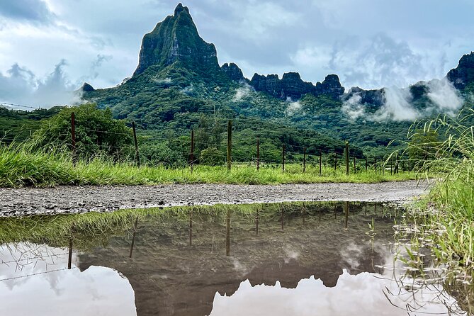 Whale watching in Moorea - Small-Group Size: Why Max 12 Changes the Experience