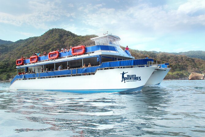 Whale Watching in Puerto Vallarta - Why Winter Humpbacks Make Banderas Bay Special
