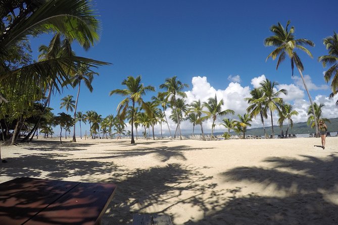 Whale Watching in Samana - Stop 1, Stop 2, Stop 3: the north-coast warm-up