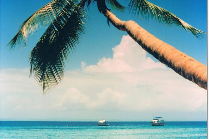 Whale Watching in Samana - Samana Bay whale watching: what the boat experience feels like