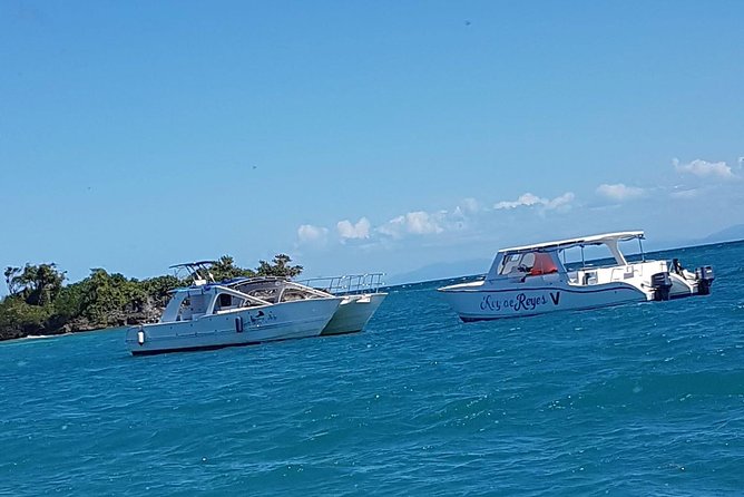 Whale Watching in Samana - Value for money: is $132.31 a good deal?