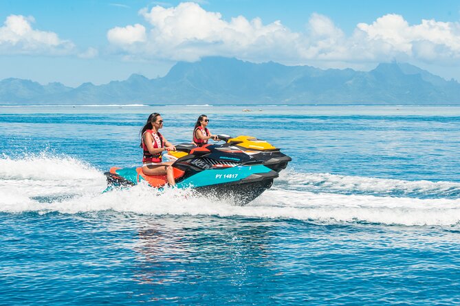 Whale watching in the calm of the peninsula with Tātahi tours - Seeing Teahupoo Without the Crowds, and Why It Feels Like Real Tahiti