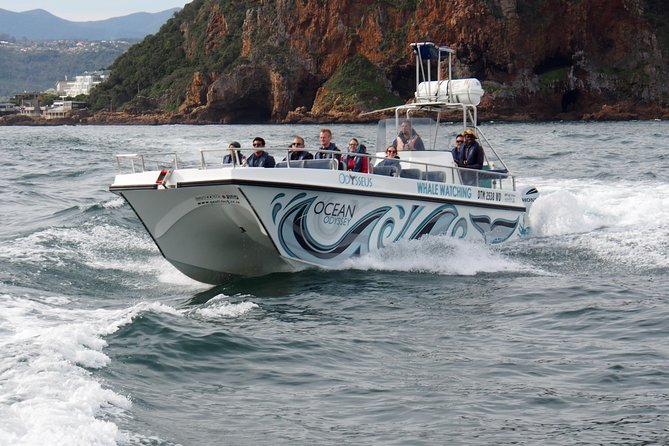 Whale Watching Knysna - Close Encounter Experience Ocean Odyssey - Who this tour is best for