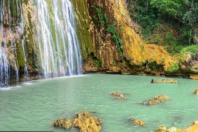 Whale Watching & Limón Waterfall Day Trip - Practical tips for a smoother day (and fewer sore legs)