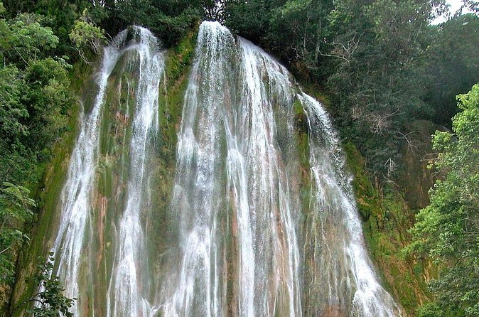 Whale Watching & Limón Waterfall Day Trip - Who should book this tour (and who should skip it)