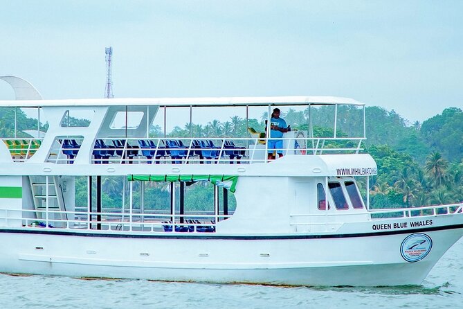 Whale Watching Mirissa Ultimate Tour in Sri Lanka with Breakfast - Key highlights you should care about