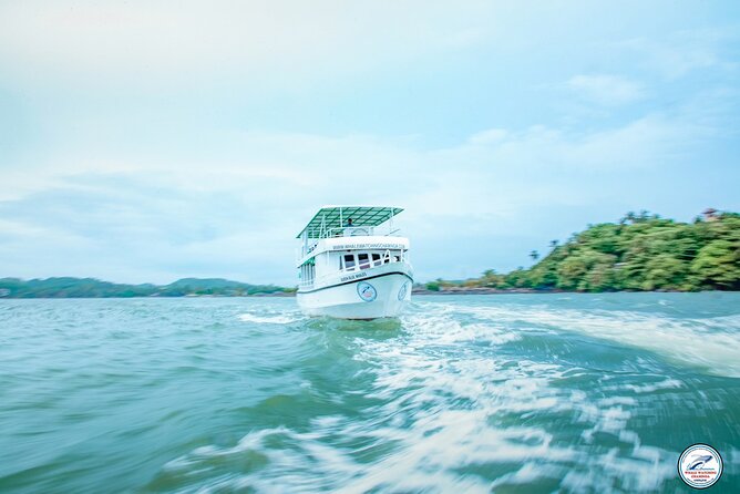 Whale Watching Mirissa Ultimate Tour in Sri Lanka with Breakfast - Entering the day: 7:00 AM departure and the real logistics