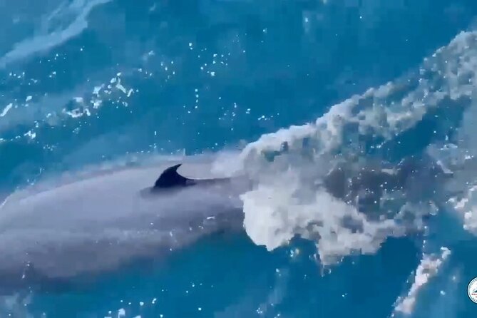 Whale Watching Mirissa Ultimate Tour in Sri Lanka with Breakfast - Breakfast on the water: why eating onboard is a smart move