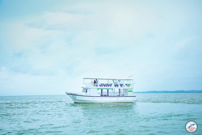 Whale Watching Mirissa Ultimate Tour in Sri Lanka with Breakfast - Choppy water? Here’s how the tour sets you up