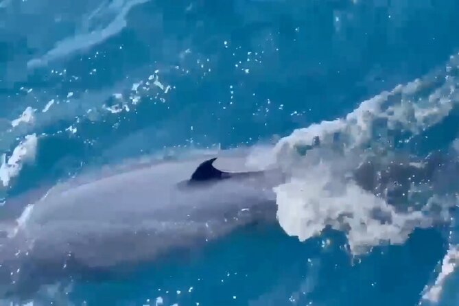 Whale Watching Mirissa Ultimate Tour in Sri Lanka with Breakfast - Who should book this whale watching with breakfast