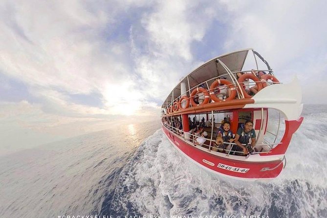 Whale Watching Mirissa with Eagle Eye - Group Size, Matching Expectations, and Who This Tour Fits Best