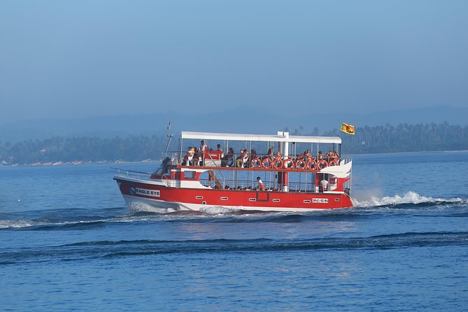Whale Watching Mirissa with Eagle Eye - Should You Book Whale Watching Mirissa with Eagle Eye?