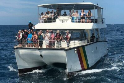 Whale Watching Mirissa with ( WWC ) - What you can expect to see: dolphins almost always, whales when the day cooperates