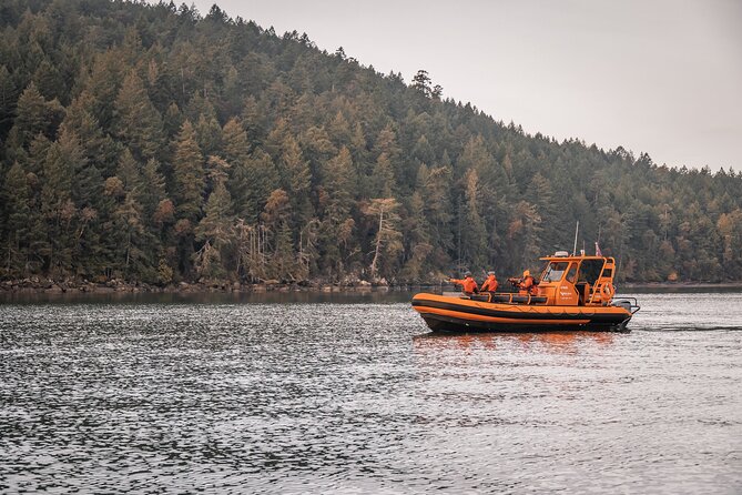 Whale Watching Nanaimo Open Boat Tour - Key reasons this tour works