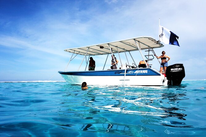 Whale watching on the preserved and quiet coast of Paea (Pk26) - Choosing your group setup: swimmers, rotations, and privacy