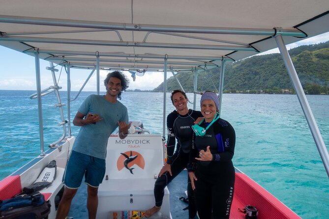 Whale watching on the preserved and quiet coast of Paea (Pk26) - Seasickness, sun, and rain: what to bring so the day feels good