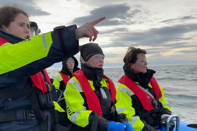 Whale Watching - RIB Boat Adventure in Kopavogur, Iceland - Where You’ll Start: Kópavogur Harbor and the Quick Route Out