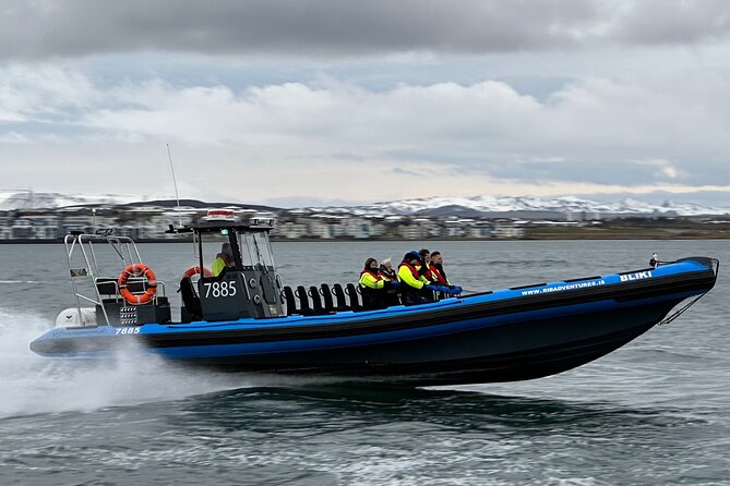Whale Watching - RIB Boat Adventure in Kopavogur, Iceland - The Main Event: Searching for Whales (and Likely Dolphins) off Skerjafjörður