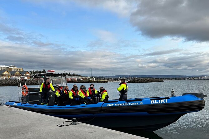 Whale Watching - RIB Boat Adventure in Kopavogur, Iceland - The Ride on BLIKI: Power, Comfort, and Safety That Feels Practical