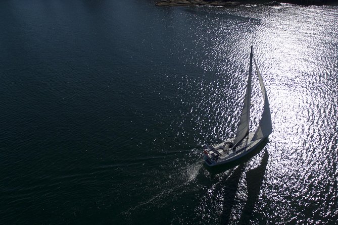 Whale Watching Sailing Experience in Sydney - Spotting strategy: how the crew helps you see more