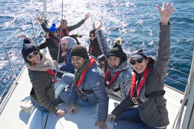 Whale Watching Sailing Experience in Sydney - Sydney Harbour and Port Jackson: the scenic warm-up before whale time