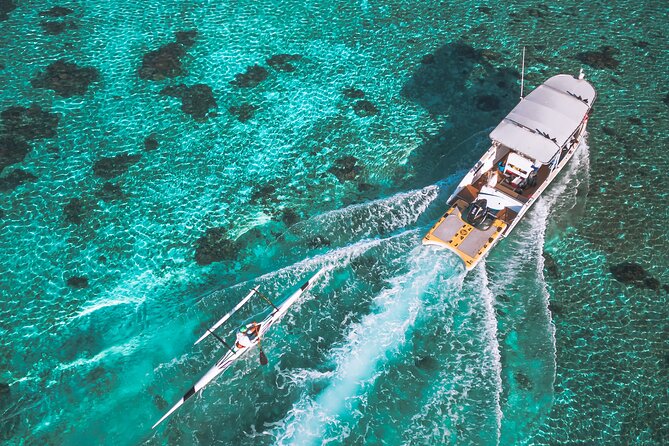 Whale Watching Shared Half Day - Price and value: is $270 worth it?