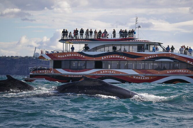 Whale Watching Sydney 2-Hour Express Cruise - Seeing from Three Decks: Views, Crowds, and Your Best Plan