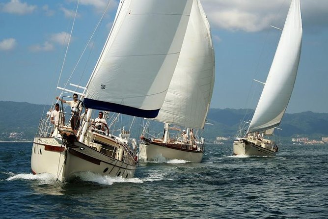 Whale Watching The Best Of Puerto Vallarta - The half-day flow: how the 3.5 hours typically feel on board
