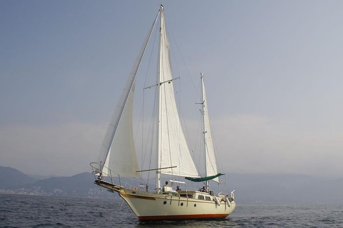 Whale Watching The Best Of Puerto Vallarta - How to maximize your odds (without overthinking it)