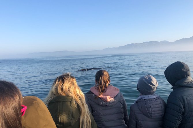 Whale Watching Tour in Hermanus with Hotel Pickup - Key things that make this Hermanus day work