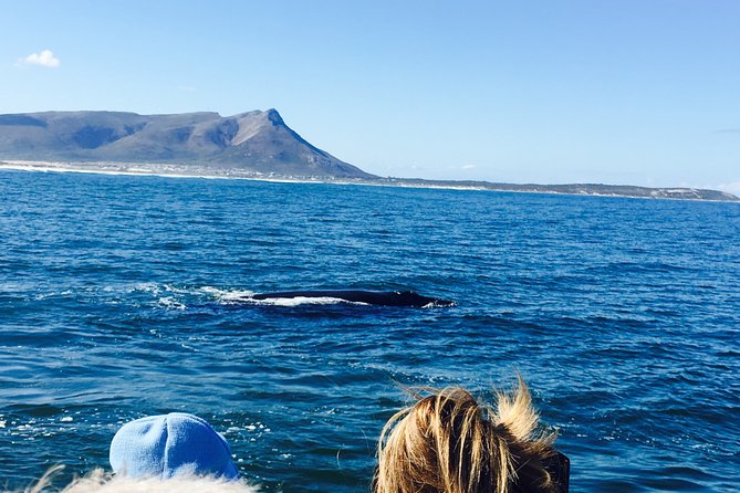 Whale Watching Tour in Hermanus with Hotel Pickup - Hermanus whale watching, done the practical way