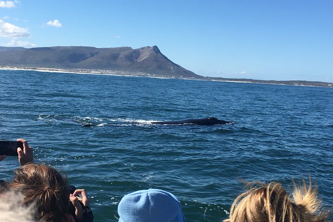 Whale Watching Tour in Hermanus with Hotel Pickup - The Hermanus town stop: photos, lunch, and a breather