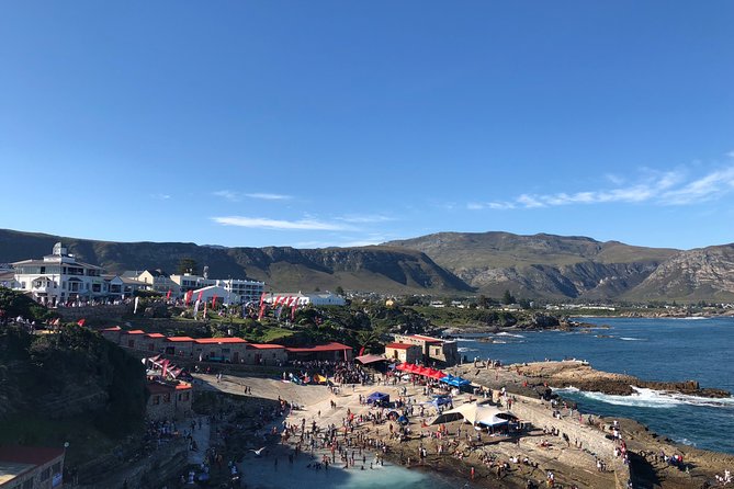 Whale Watching Tour in Hermanus with Hotel Pickup - Betty’s Bay penguins: the add-on that turns the day into something else