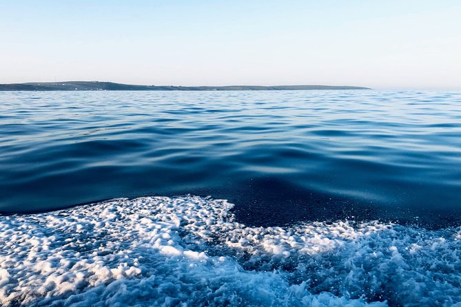 Whale Watching Tour in Hermanus with Hotel Pickup - When you go: May to November is the sweet spot