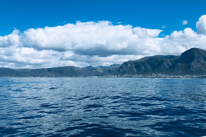 Whale Watching Tour in Hermanus with Hotel Pickup - What to wear and how to handle the ocean