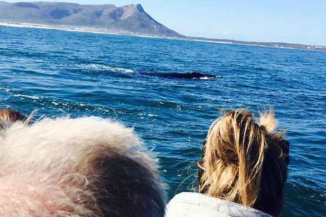 Whale Watching Tour in Hermanus with Hotel Pickup - Pickup, comfort, and avoiding the chaos