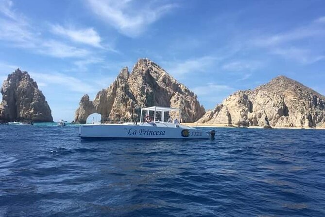 Whale Watching Tour in Los Cabos - La Princesa Catamarans: the boat, the pace, and the group vibe