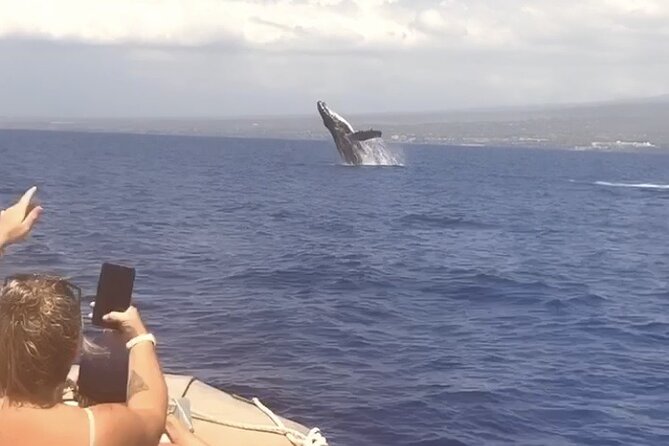 Whale Watching Tour on a Charming Hawaiian Catamaran From Maalaea - Why Winona Catamaran Whale Watching Feels More Maui Than Mega-Tours