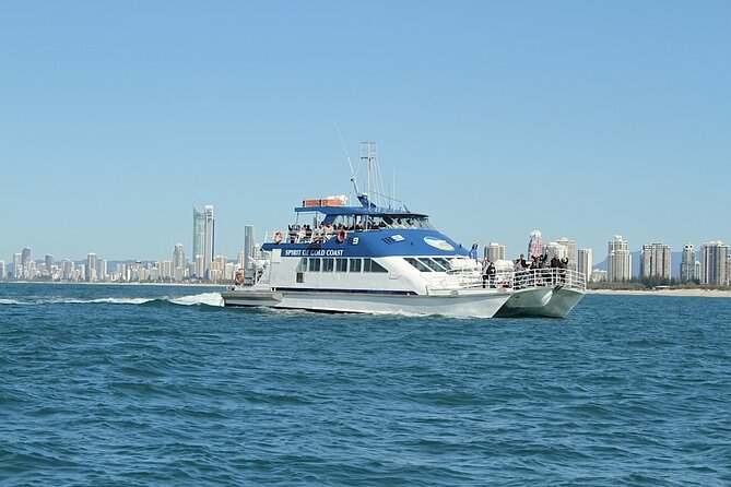 Whale Watching Tour with Spirit of Gold Coast - Who this whale watching tour suits best