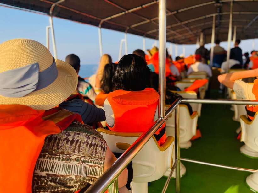 Whale Watching Tour with Transfers - Western Province Transfers and a 7am Start