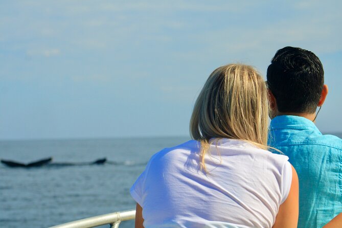 Whale Watching Warranty in San José del Cabo Snacks and drinks - Why the Small Group (Up to 8) Changes Everything