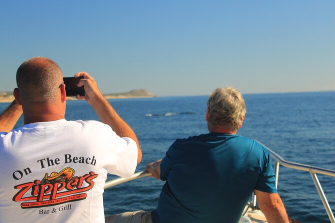 Whale Watching Warranty in San José del Cabo Snacks and drinks - Should You Book This Whale Watching Tour?