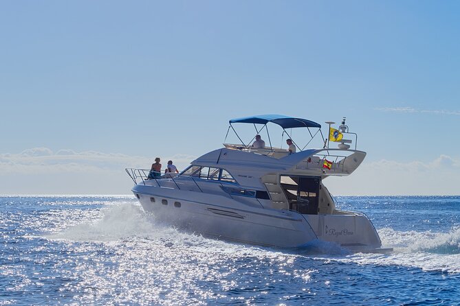Whales and Dolphins excursion on a Luxury Yacht in Canary Islands - Key things to know before you sail