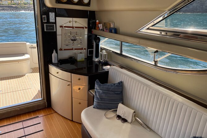 Whales and Dolphins excursion on a Luxury Yacht in Canary Islands - Las Galletas-to-Los Cristianos: the basic vibe