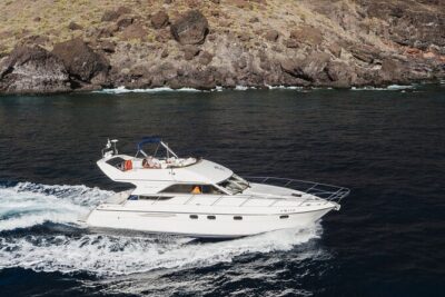 Whales and Dolphins excursion on a Luxury Yacht in Canary Islands - Your 3-hour route, step by step